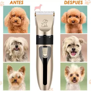 Kit peluquería canina