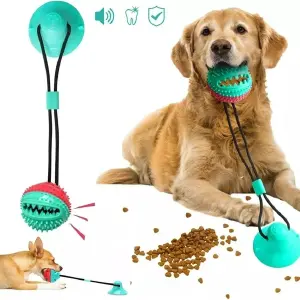 Pelota con chupa Perro juguete