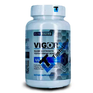 Vigor 360: Tu compañero de entrenamiento definitivo - Vigor 360
