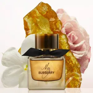 MY BURBERRY
