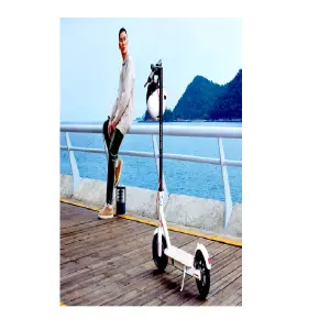 Patineta Electrica Shark 350W
