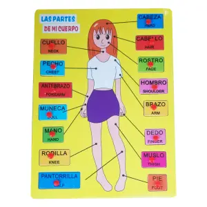 Juego Madera Partes Del Cuerpo En Ingles