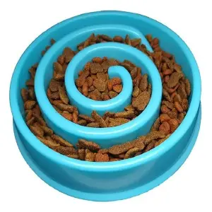 Comedero antirreflujo mascota