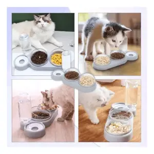Dispensador Automático para Gatos: ¡La Solución Perfecta para Mascotas Felices! - Dispensador Automático  Para Gatos