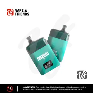 Wzrd Stone 13k Puff – Desechable