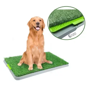 Tapete de Entrenamiento para Perros: ¡Adiós a los Accidentes! - Tapete Entrenamiento Para Perro Grande