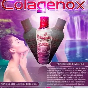 Colagenox. Líquido x 500 ml