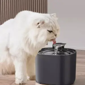 Fuente de Mascota Bebedero