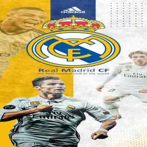 funda forro decorativo puerta Equipo D
