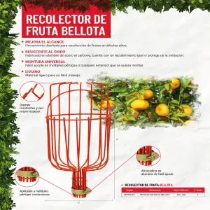 Recolectro de Frutas Bellota