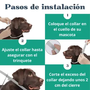 Collar Anti Pulgas Parasitos Perro Gatos