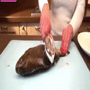 QUITA ESCAMAS