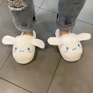 PM