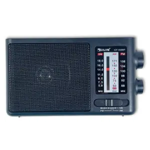 RADIO GOLON ICF 506