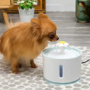 FUENTE PARA MASCOTA SILENCIOSA