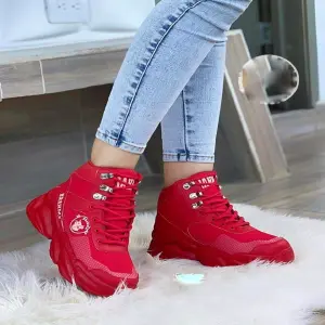BOTA BRAH2