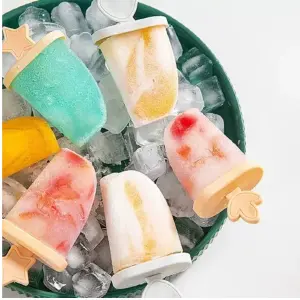 Molde Para Paletas X8 Cubiculos