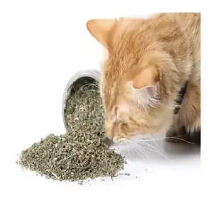 CATNIP BOLSA X 20 G BIOLINE