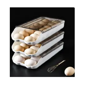 ORGANIZADOR DE HUEVOS