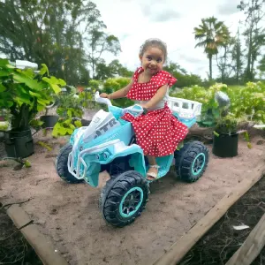 Cuatrimoto Electrónica C/Remoto Niño