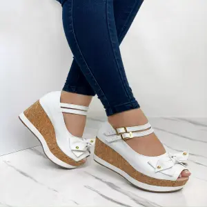 PLATAFORMA REF 1728