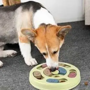 Plato interactivo comida lenta