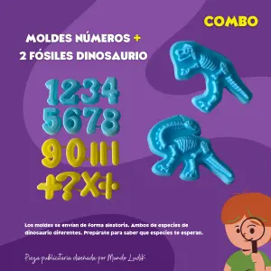 MOLDES ARENA: NÚMEROS + FÓSILES