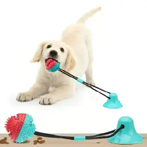 🦴🐶🏐JUGUETE PARA PERRO CON VENTOSA🦴🐶