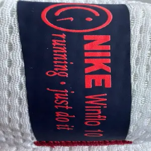 NIKE WINFLO 10 RUNNING HOMBRE