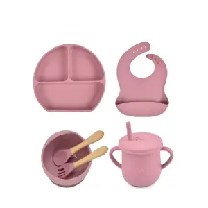 Set De Comida Para Bebe En Silicona