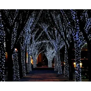 Luz Lineal Cable Transparente 15 mts