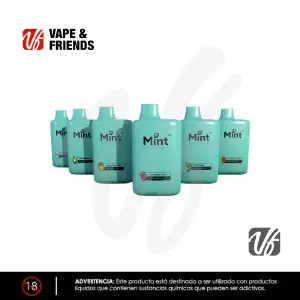 Mint Bars 6500puff – Desechable