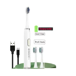 Cepillo Dientes Eléctrico Recargable Usb
