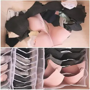Organizador De Ropa Interior Y Medias Di