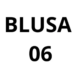 Blusa 06