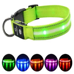 collar reflectivo con luz reflectiva