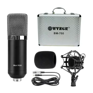 Microfono Condensador Estudio BM-700