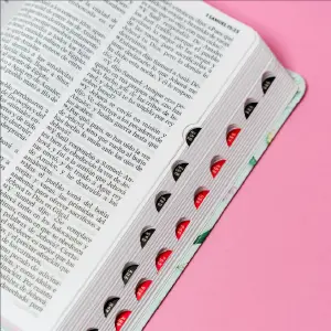 SANTA BIBLIA LETRA GRANDE