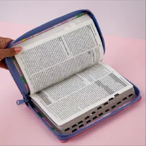 SANTA BIBLIA: EDICIÓN DE PROMESAS