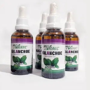 KALANCHOE GOTAS 50ml