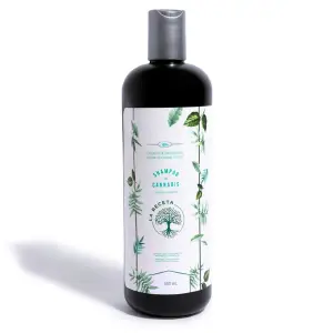 Shampoo De Argan La Receta 500 Ml