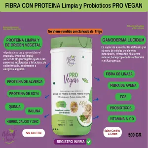 FIBRA CON PROTEINA LIMPIA PRO VEGAN*500G