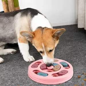 plato interactivo alimentacion lenta