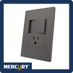 TOMA + INTERRUPTOR SILVER LUXURY