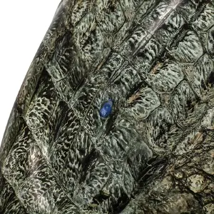Inflable Flotador Cocodrilo Reptil