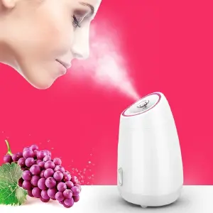 VAPORIZADOR FACIAL