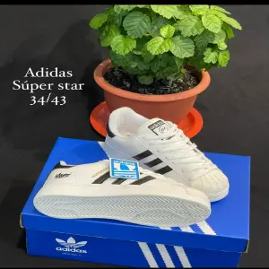 Super star Adidas