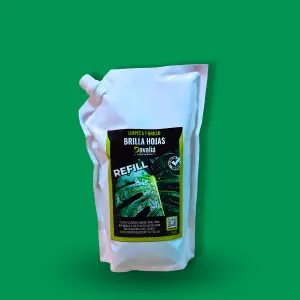 KIT BRILLA HOJAS  DAVALIA