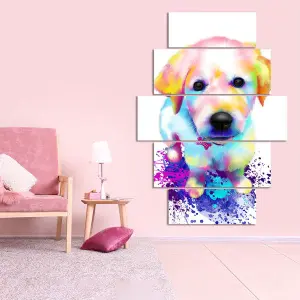 PERRO 47