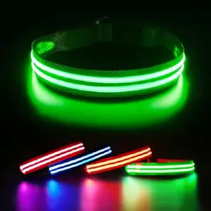 collar led mascota